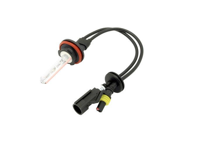 H11 HID Bulb
