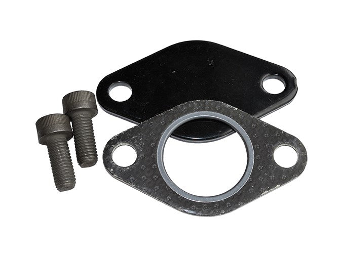 EGR Removal Kit
